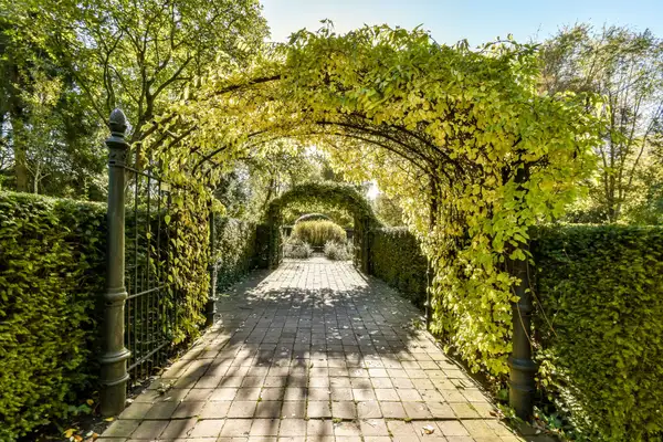 Foto #15 Appartement Volkerakstraat Amsterdam