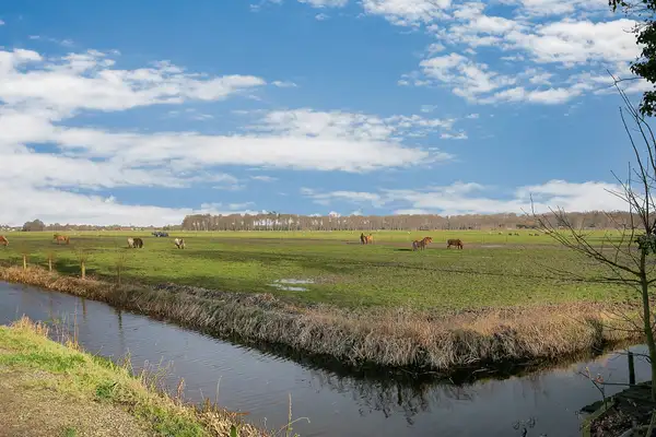 Foto #49 Huurwoning Nieuw-Loosdrechtsedijk Loosdrecht