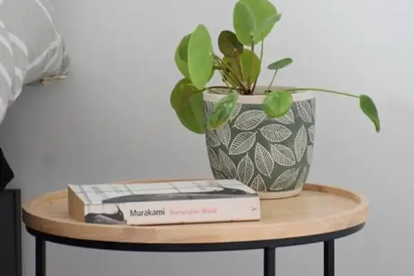 Foto #11 Appartement Wagenaarstraat Amsterdam