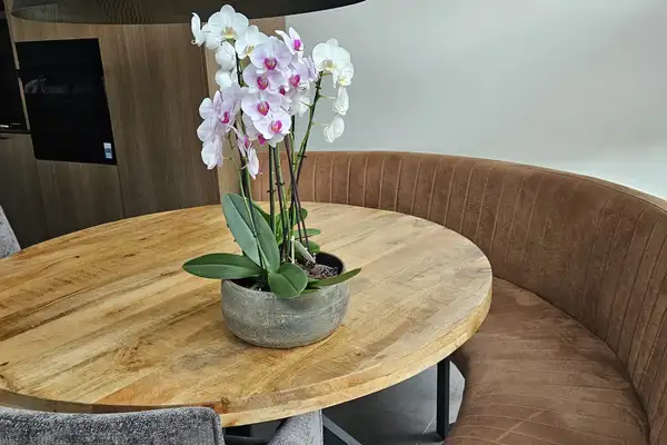 Foto #25 Huurwoning Barend Cohenstraat Breda