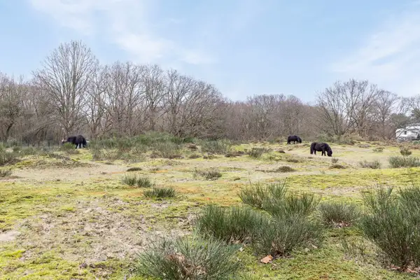 Foto #57 Appartement De Savornin Lohmanlaan Den Haag