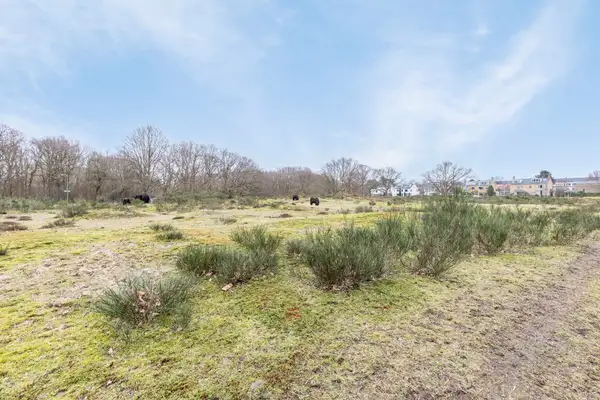 Foto #56 Appartement De Savornin Lohmanlaan Den Haag