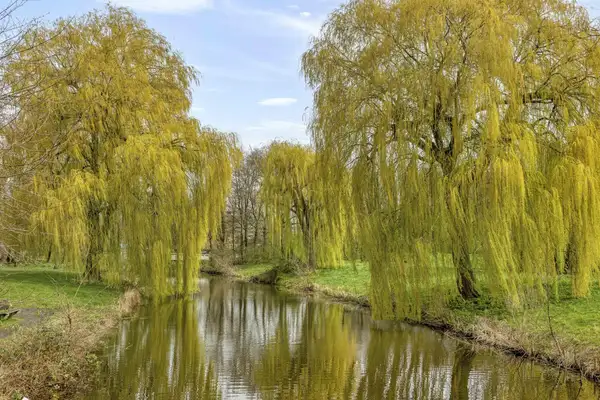 Foto #45 Appartement Prinses Ireneplateau Utrecht