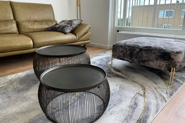 Foto #2 Appartement Rosa Spierlaan Amstelveen