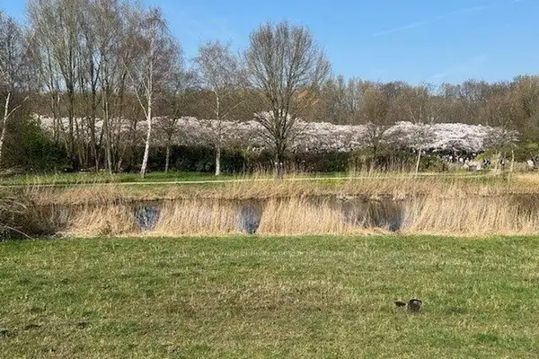 Foto #3 Huurwoning Noorddammerlaan Amstelveen