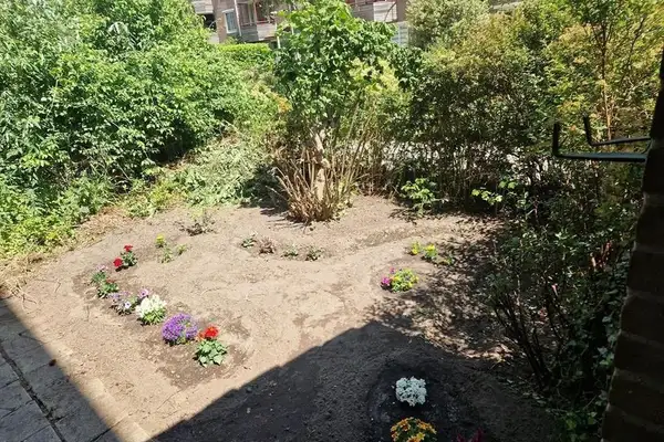 Foto #17 Appartement Vleutenstraat Amsterdam