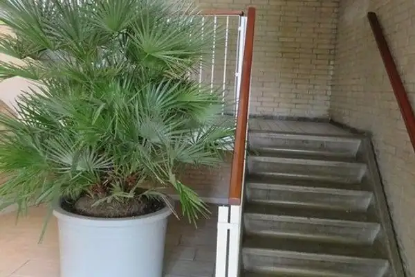 Foto #13 Appartement Fideliolaan Amstelveen