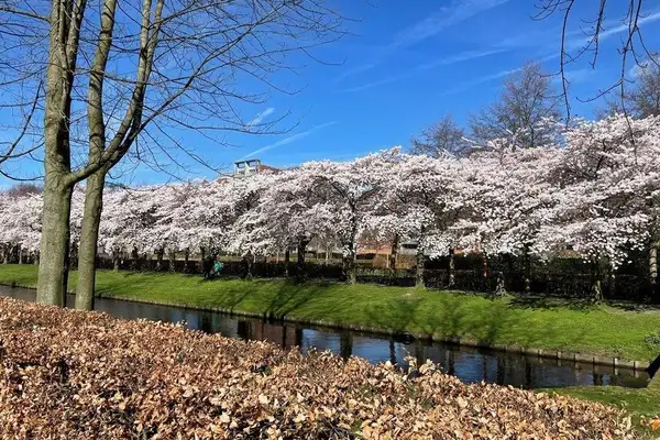 Foto #28 Appartement Kamerlingh Onnesstraat Amstelveen