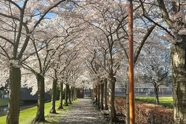 Foto #27 Appartement Kamerlingh Onnesstraat Amstelveen