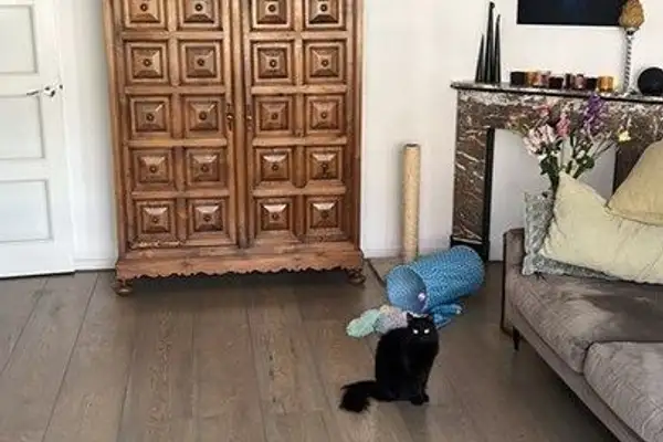 Foto #2 Appartement Van Tuyll van Serooskerkenweg Amsterdam