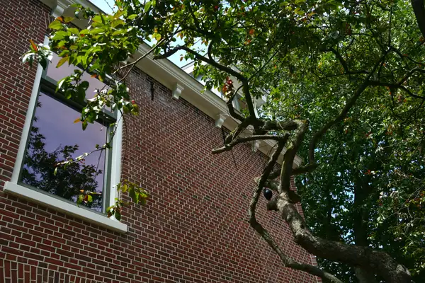 Foto #18 Appartement Brandewijnsgracht Leiden