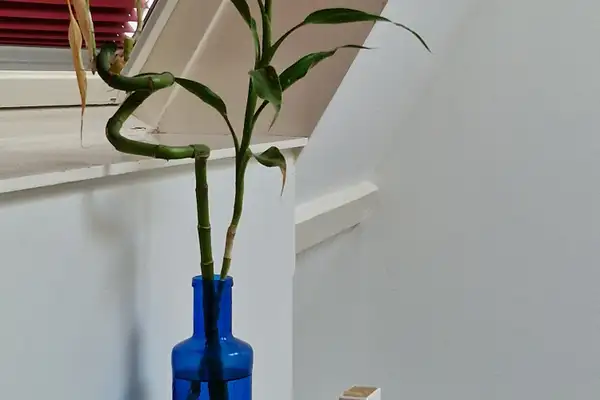 Foto #48 Appartement Groot Hertoginnelaan Den Haag