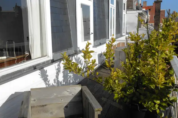 Foto #10 Appartement Groot Hertoginnelaan Den Haag