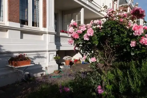 Foto #24 Appartement Badhuisweg Den Haag