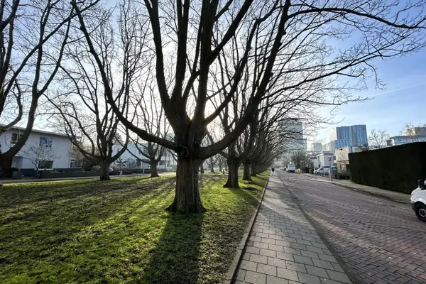 Foto #27 Huurwoning Minervalaan Amsterdam