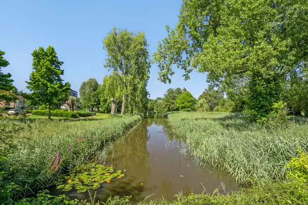 Foto #18 Huurwoning Odysseuslaan Eindhoven