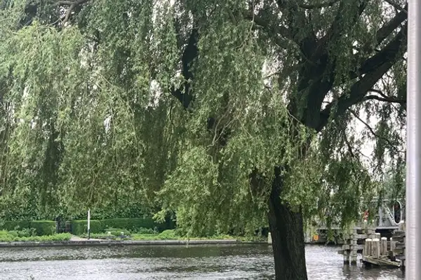 Foto #3 Appartement Wilhelminakade Uithoorn