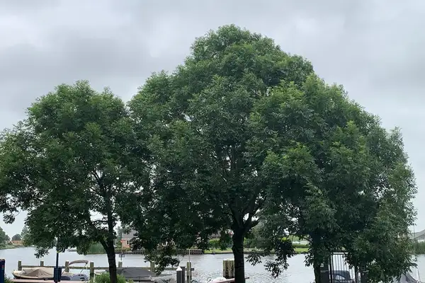 Foto #20 Appartement Wilhelminakade Uithoorn