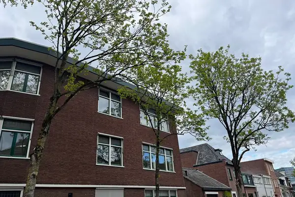 Foto #12 Appartement Dr. van Mierlostraat Breda