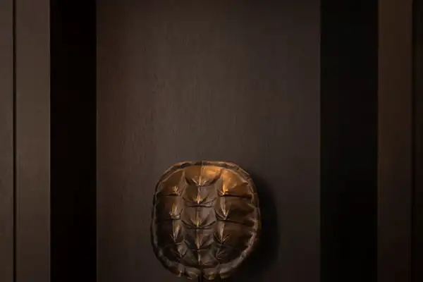 Foto #9 Huurwoning dr. Henriette Boasstraat Badhoevedorp