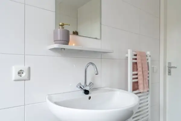 Foto #19 Huurwoning Boskolk Wapenveld