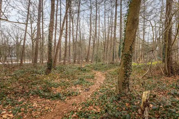 Foto #42 Huurwoning Heuvelweg Vlagtwedde