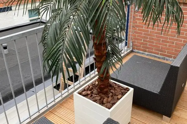 Foto #9 Appartement Marcelisstraat Den Haag