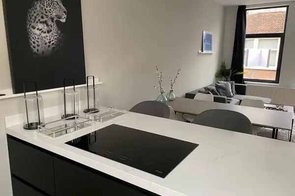 Foto #4 Appartement Marcelisstraat Den Haag