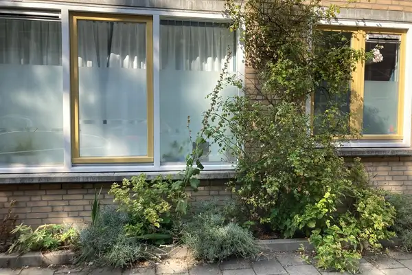 Foto #34 Appartement Tweede Oosterparkstraat Amsterdam