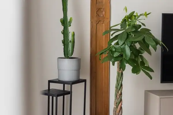 Foto #5 Appartement Bezuidenhoutseweg Den Haag