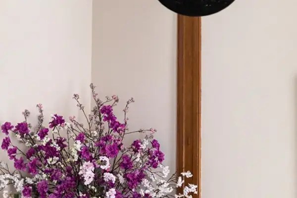 Foto #7 Appartement Bezuidenhoutseweg Den Haag