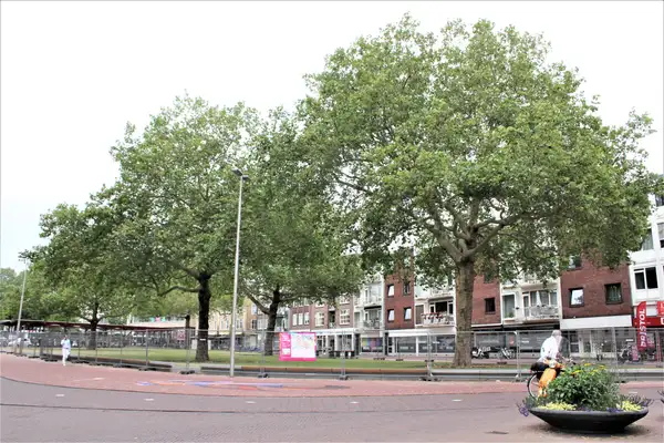 Foto #1 Appartement Velperpoortslangstraat Arnhem