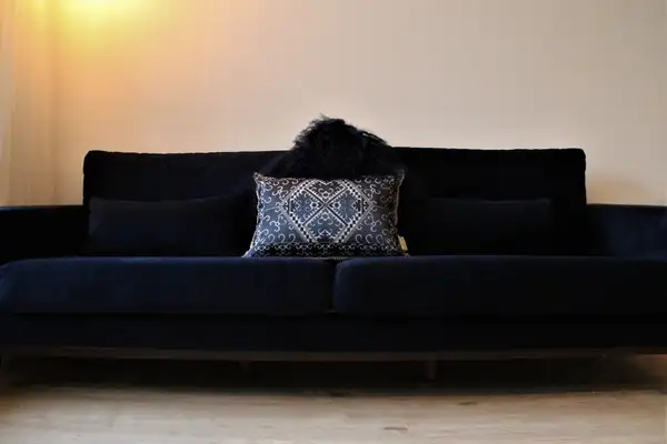 Foto #10 Appartement Dickenslaan Amsterdam