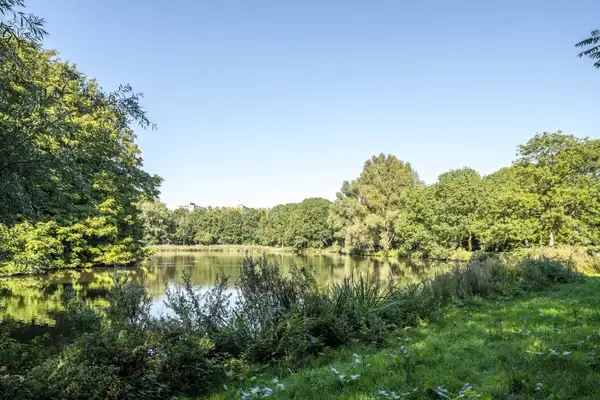 Foto #25 Appartement Theodoor van Hoytemastraat Amsterdam