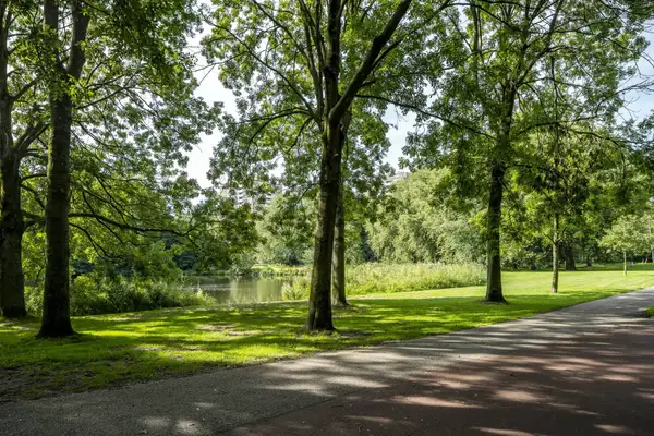 Foto #26 Appartement Theodoor van Hoytemastraat Amsterdam