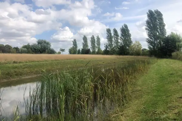 Foto #5 Huurwoning Spui Axel