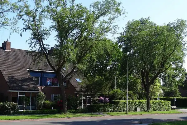 Foto #8 Huurwoning Emmalaan Haren