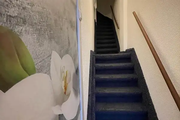 Foto #1 Appartement Dordtsestraatweg Rotterdam