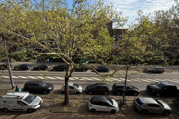 Foto #3 Appartement Mathenesserlaan Rotterdam