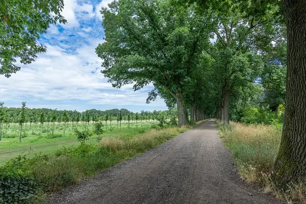 Foto #19 Huurwoning Mauritsstraat Sint-Oedenrode