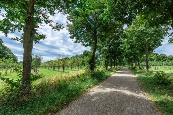 Foto #23 Huurwoning Mauritsstraat Sint-Oedenrode