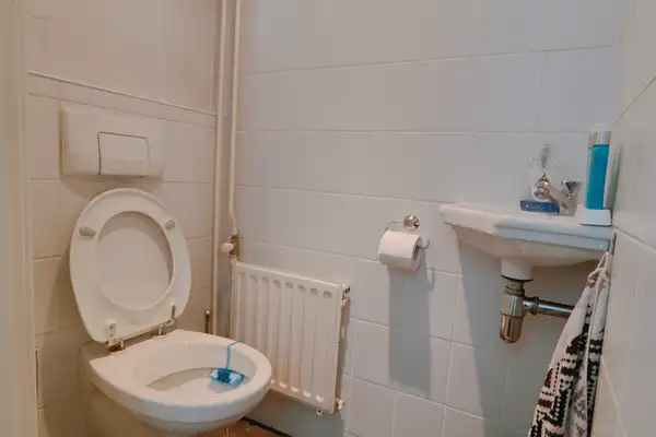 Foto #8 Huurwoning Mauritsstraat Sint-Oedenrode