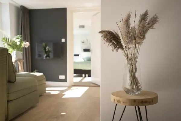 Foto #3 Appartement Boekhorststraat Den Haag