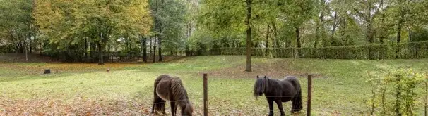 Appartement Foto #0 te huur bij Huurstunt