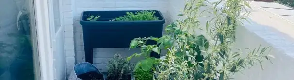 Appartement Foto #1 te huur bij Huurstunt