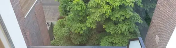 Appartement Foto #0 te huur bij Huurstunt