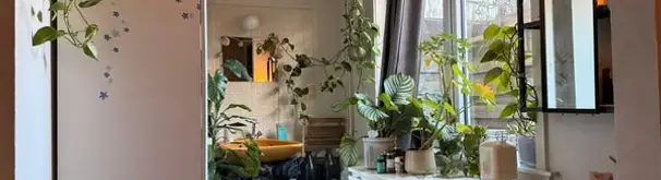 Kamer Foto #3 te huur bij Huurstunt