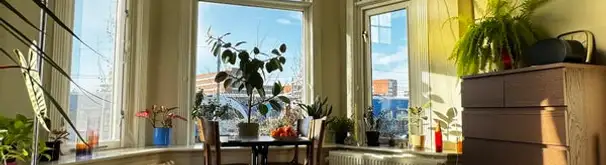 Kamer Foto #1 te huur bij Huurstunt