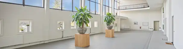 Appartement Foto #2 te huur bij Huurstunt