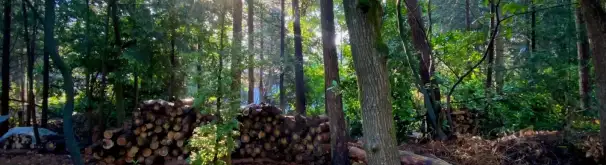 Huurwoning Foto #2 te huur bij Huurstunt